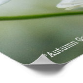 Poster Collecte d'automne (Coin)