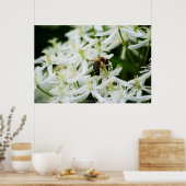 Poster Collecte d'automne (Cuisine)