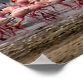 Poster Collecte de Flamants roses - Imprimer (Coin)