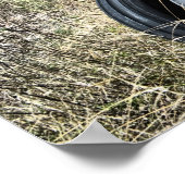 Poster Collecte de la rouille (Coin)