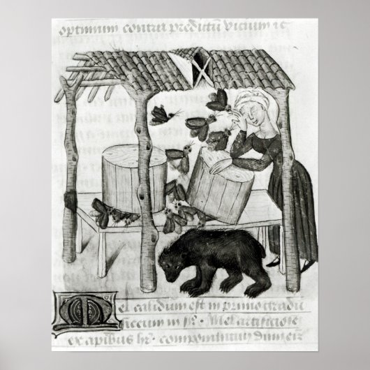 Poster Collecte de miel (Devant)