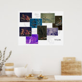 Poster Collecte de vélos (Cuisine)