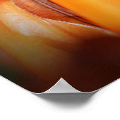 Poster Collecte des abeilles (Coin)