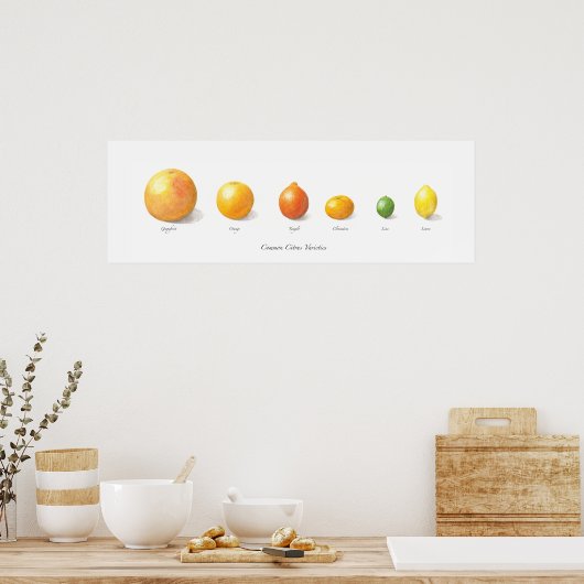 Poster Collection Citrus (Cuisine)