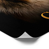 Poster Collection Collie Heritage Shepherd (Coin)