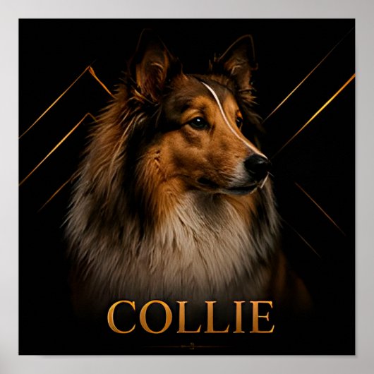 Poster Collection Collie Heritage Shepherd (Devant)