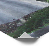 Poster Collection commémorative des anciens combattants d (Coin)