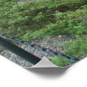 Poster Collection commémorative des anciens combattants d (Coin)