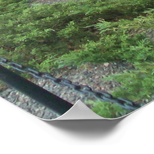 Poster Collection commémorative des anciens combattants d (Coin)