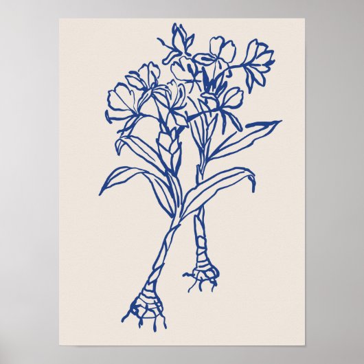 Poster Collection d'affiches d'art nature (Devant)