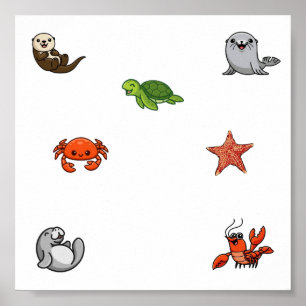 Poster Collection d'animaux de mer