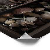 Poster Collection de champignons dans la mousse, bois aut (Coin)