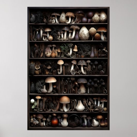 Poster Collection de champignons dans la mousse, bois aut (Devant)