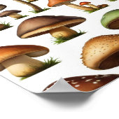 Poster Collection de champignons Design Motif (Coin)