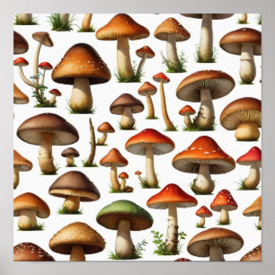 Poster Collection de champignons Design Motif