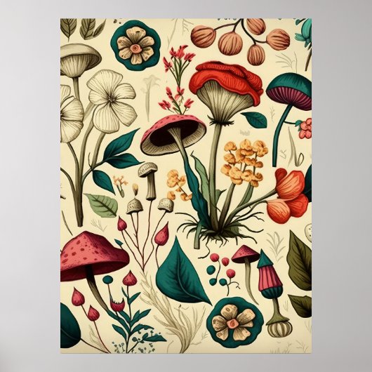 Poster Collection de champignons Plante (Devant)