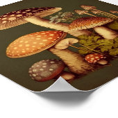 Poster Collection de champignons vintages 1 (Coin)