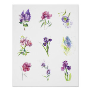 Poster Collection de fleurs printanières à l'aquarelle bo