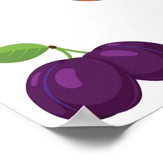 Poster Collection de fruits (Coin)