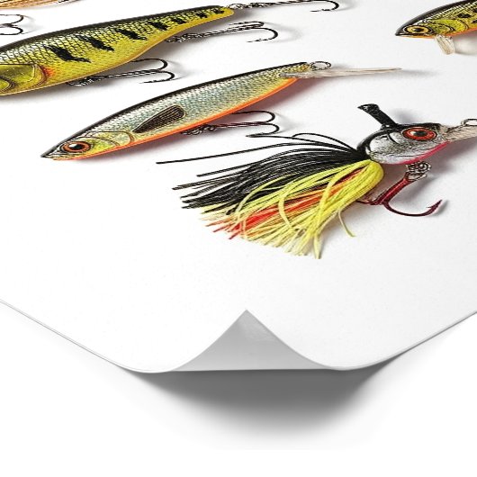 Poster Collection de leures de pêche (Coin)