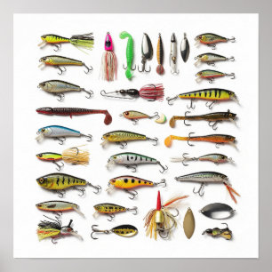Poster Collection de leures de pêche