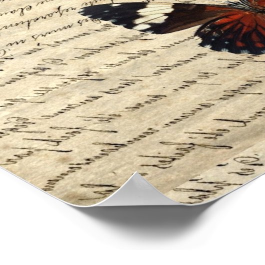 Poster Collection de papillons vintages (Coin)