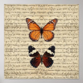 Poster Collection de papillons vintages (Devant)