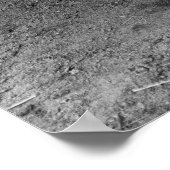 Poster Collection de plaques de licence des années 1930 (Coin)