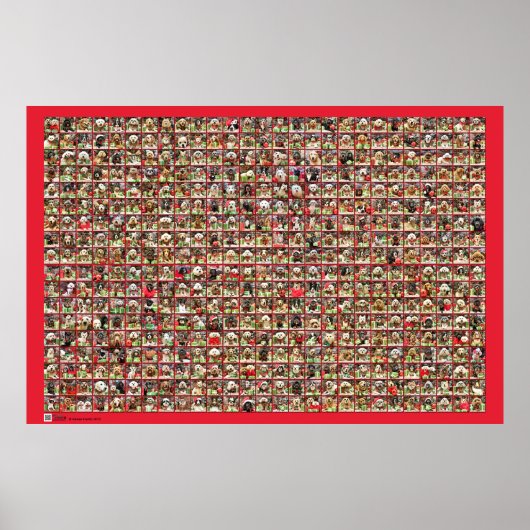 Poster Collection de portraits de chiens de Noël (Devant)