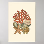 Poster Collection de vies marines (Devant)