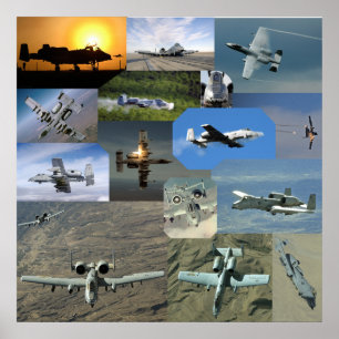 Poster Collection de Warthog