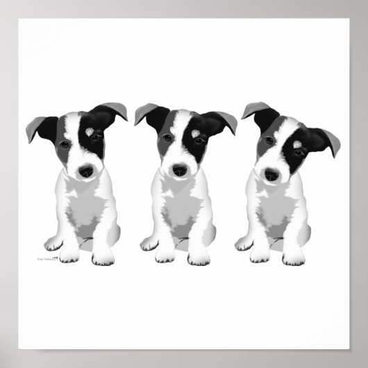 Poster Collection Design Roseplatine® (Devant)