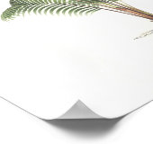 Poster Collection d'illustrations de palmiers (Coin)