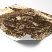 Poster Collection d'images de la famine irlandaise pour a (Coin)