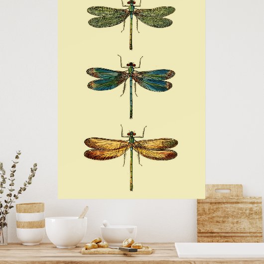 Poster Collection d'insectes de libellules (Cuisine)