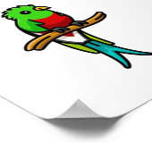 Poster Collection d'oiseaux (Coin)