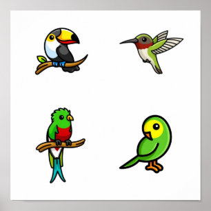 Poster Collection d'oiseaux