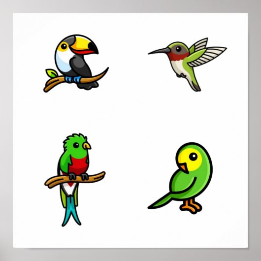 Poster Collection d'oiseaux (Devant)