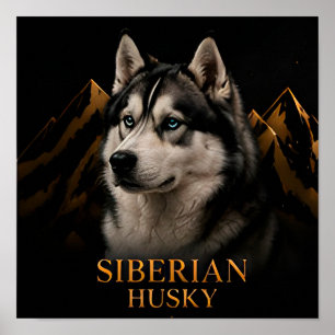 Poster Collection Esprit Nordique du Husky Sibérien