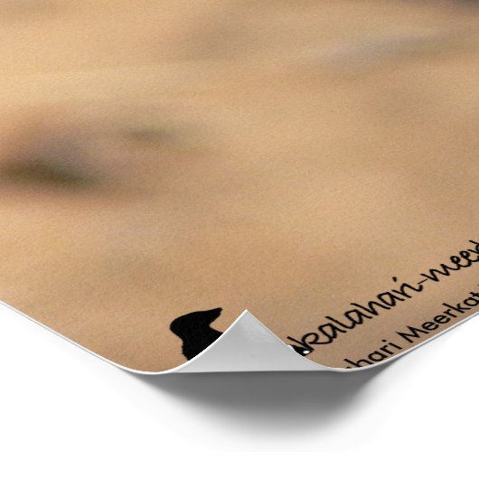 Poster Collection Fluffernutter - Daydreaming (Coin)