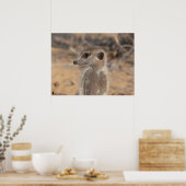 Poster Collection Fluffernutter - Daydreaming (Cuisine)