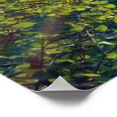 Poster Collection Isaiah 53 (Coin)