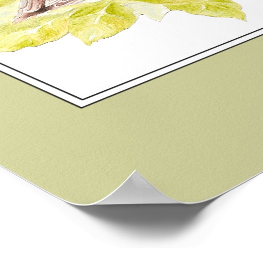 Poster Collection Ne Pas Avoir Peur Écritures Courage (Coin)