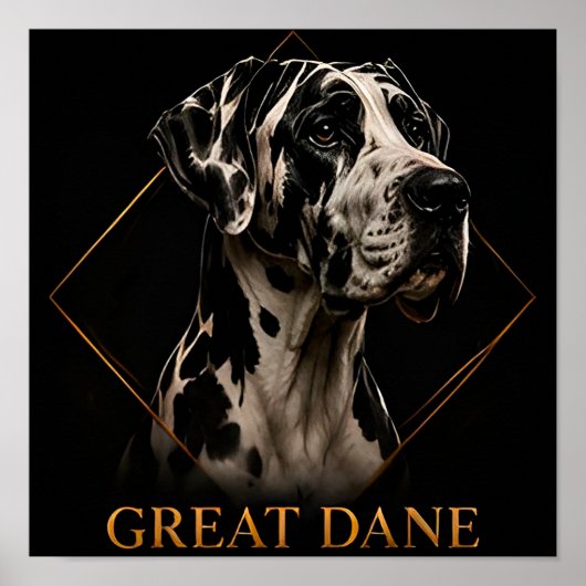 Poster Collection Noble Géant Grand Danois (Devant)