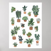 Poster Collection plante 6 (Devant)
