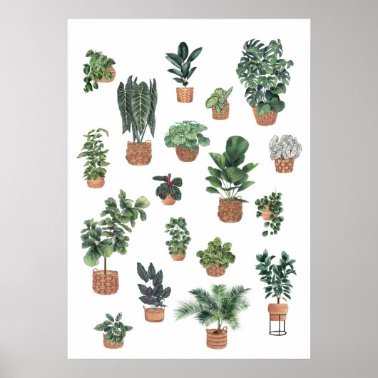 Poster Collection plante 6 (Devant)