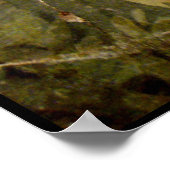 POSTER COLLECTION POMPEII / DOVE DANS LE JARDIN (Coin)