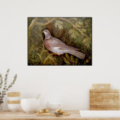 POSTER COLLECTION POMPEII / DOVE DANS LE JARDIN (Cuisine)