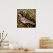 POSTER COLLECTION POMPEII / DOVE DANS LE JARDIN (Cuisine)