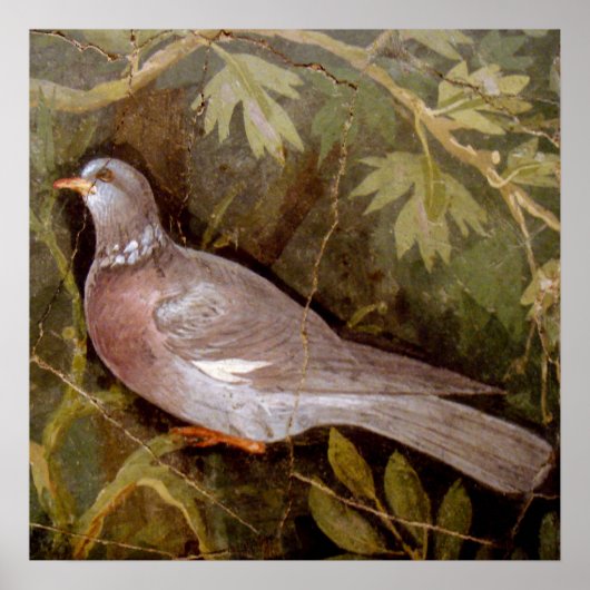 POSTER COLLECTION POMPEII / DOVE DANS LE JARDIN (Devant)